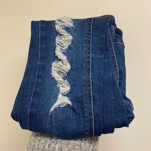 Wild Fable Distressed Jeans